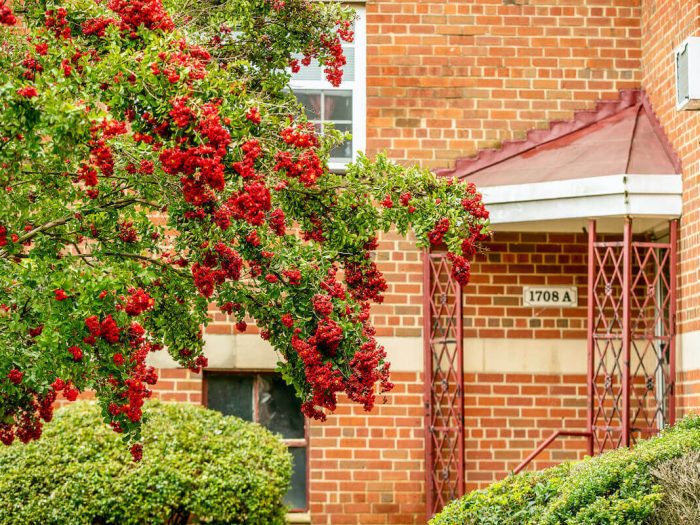 Commonwealth Crossing Exterior Landscaping Virginia