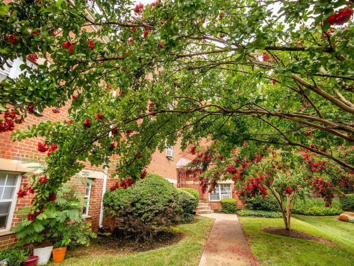 Commonwealth Crossing Exterior Landscaping Virginia